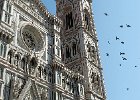 42-15891436 : Architecture, Bird, Daytime, Decoration, Facade, Light, Nobody, Outdoors, Sunshine, Window