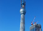 skytree003